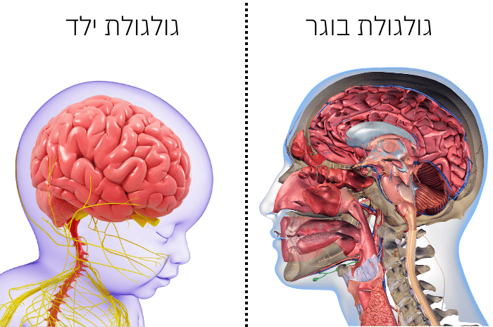 דלקת אוזניים אצל ילדים ותינוקות